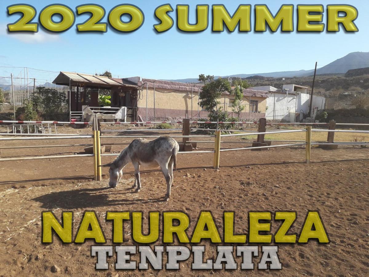Tenplata Tijoco de Abajo Exteriér fotografie