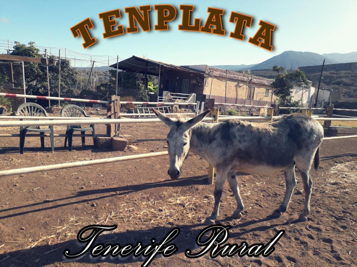 Tenplata Tijoco de Abajo Exteriér fotografie